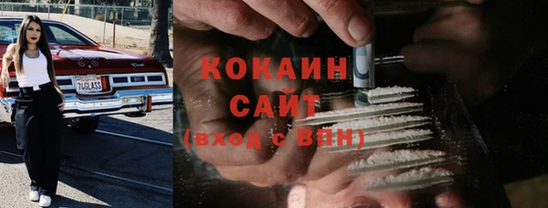 дживик Мегион
