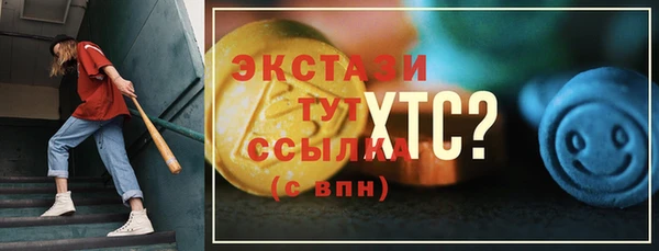 индика Медногорск