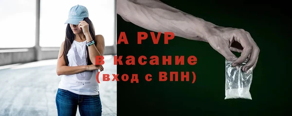 индика Медногорск