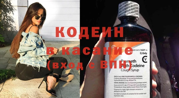 индика Медногорск