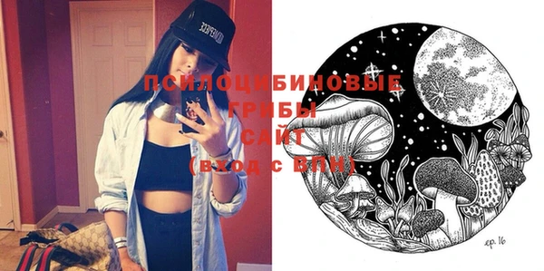 индика Медногорск