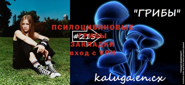 индика Медногорск