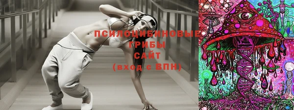 индика Медногорск