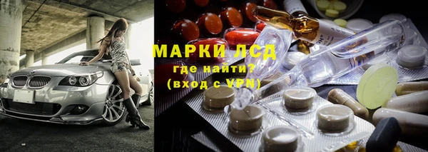 индика Медногорск