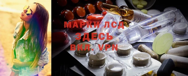 индика Медногорск