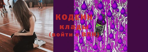 индика Медногорск