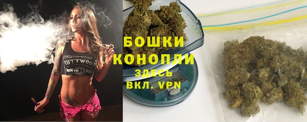 дживик Мегион