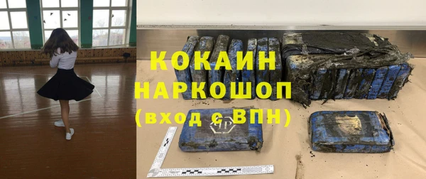 индика Медногорск