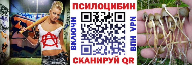 kraken как войти  купить наркотик  Шенкурск  Псилоцибиновые грибы мухоморы 